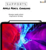 iPad Pro 12.9 (4th Gen 2020) - Dual PEN - Charcoal Grey