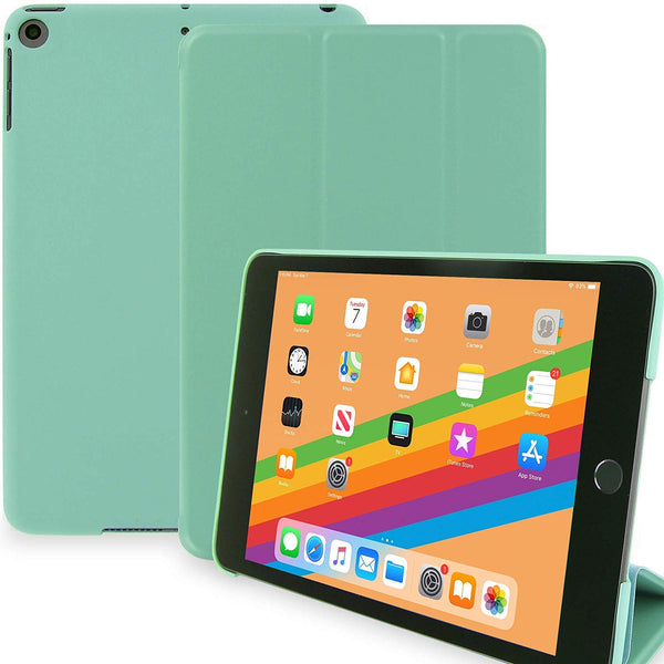 iPad Mini 5 - 2019 - Dual Mint Green