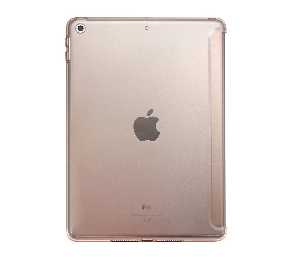 iPad 9.7 2017 & 2018 Companion See-Thru Pink Sand